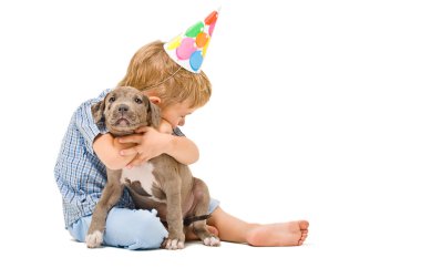 Çocuk yavru pitbull hugs