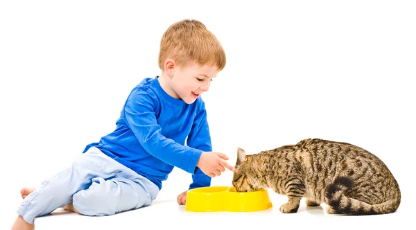 Rapaz alimenta o gato — Fotografia de Stock