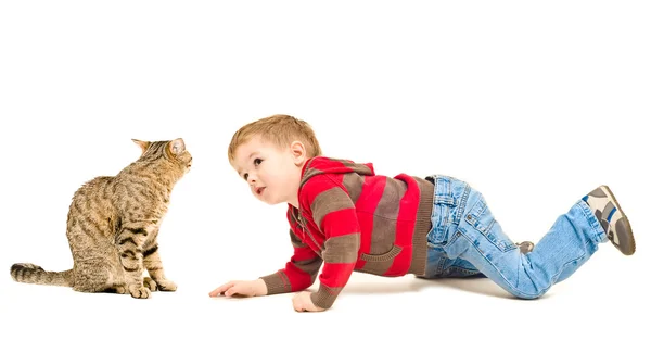Boy and cat looking at each other — Stock Photo, Image