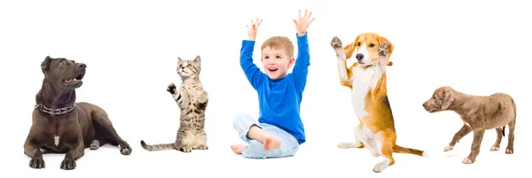 Grupp av en glada husdjur och barn tillsammans — Stockfoto