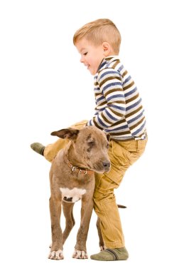 Eğleniyor çocuk bir köpek pitbull ile oynamak