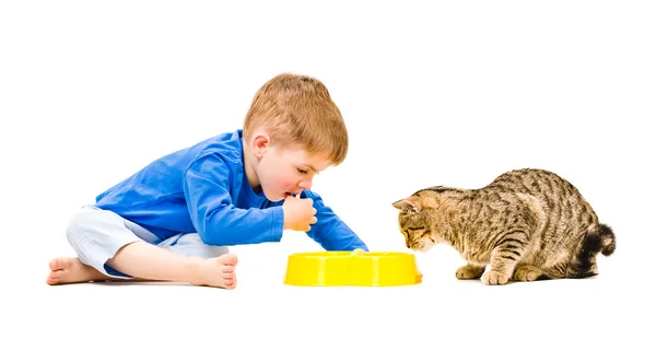 Menino e gato comem juntos da mesma tigela — Fotografia de Stock