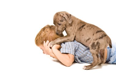 Boy and puppy pit bull having fun clipart