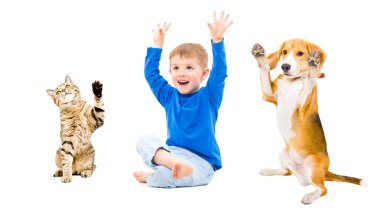 Mutlu çocuk, köpek ve kedi birlikte