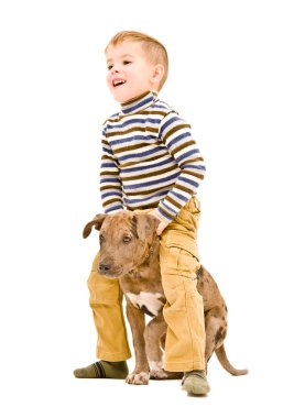 Neşeli çocuk bir köpek pitbull ile oynamak