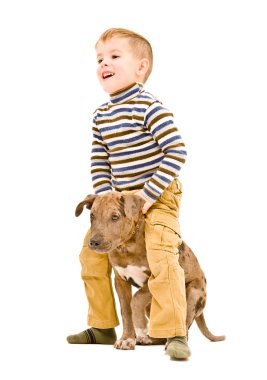 Cheerful boy playing with a puppy pitbull clipart