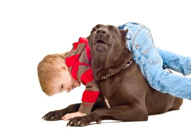 Boy playing with the dog clipart