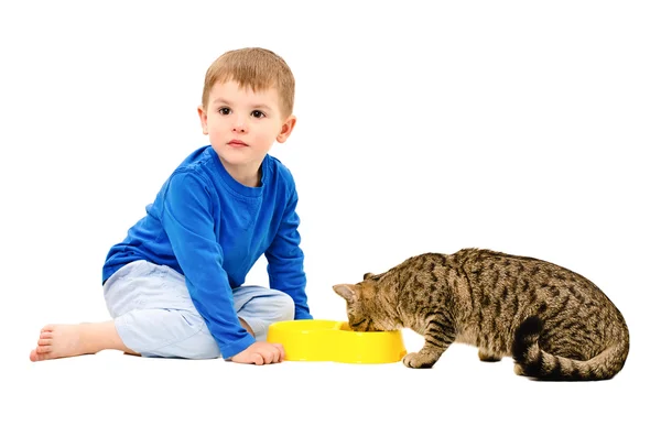 Chłopiec i kot, który zjada — Zdjęcie stockowe