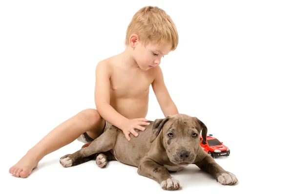 Menino brincando com o cachorro pitbull e máquina de fogo — Fotografia de Stock