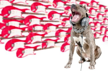 Singing pit bull clipart