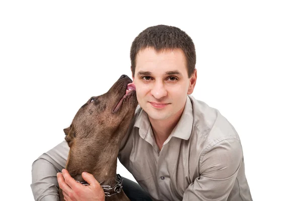 Porträtt av en ung man som slickar pitbull — Stockfoto