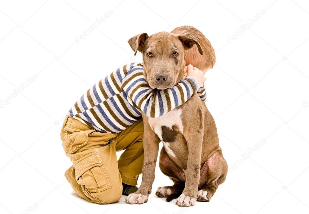 Boy hugging a puppy pit bull