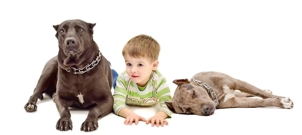 Mignon garçon et deux chiens couchés ensemble — Photo