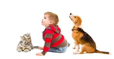 Sevimli çocuk, beagle köpek ve kedi yavrusu