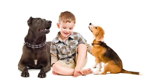 Menino alegre sentado com dois cães — Fotografia de Stock