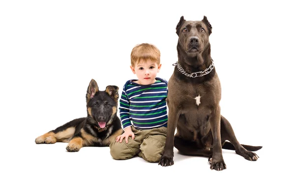 Schattige jongen zitten met twee honden — Stockfoto