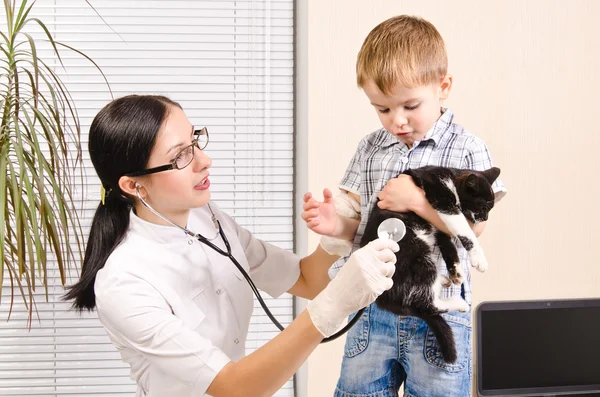 Veterinární lékař poslouchá stetoskopem kotě, které drží chlapce — Stock fotografie