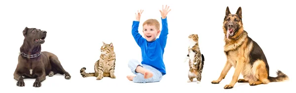 Skupina domácí zvířata a veselé dítě společně — Stock fotografie