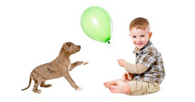 Mutlu çocuk ve köpek yavrusu bir balon ile oynarken pitbul