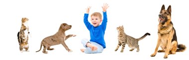 Group of a cheerful pets and kid together clipart