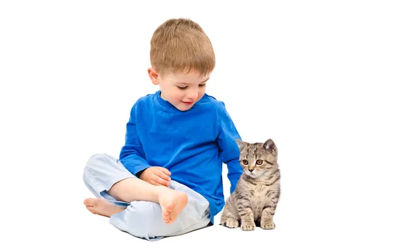 Хлопчик і кошеня шотландський прямі — стокове фото