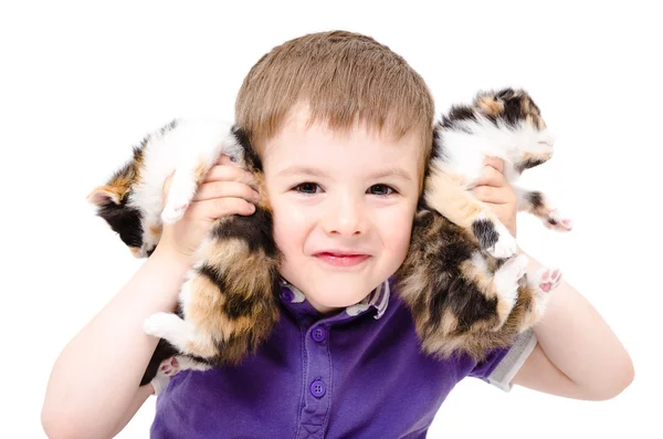 Porträt eines glücklichen Jungen, der mit Kätzchen spielt — Stockfoto