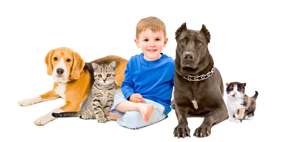 Група домашніх тварин і щаслива дитина, що сидить разом — стокове фото