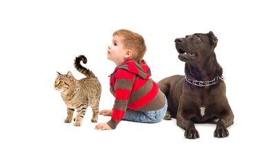 Meraklı çocuk, köpek ve kedi birlikte