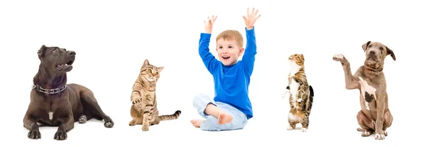 Grupo de animais de estimação alegres e criança — Fotografia de Stock