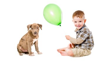 mutlu çocuk ve köpek yavrusu pitbul