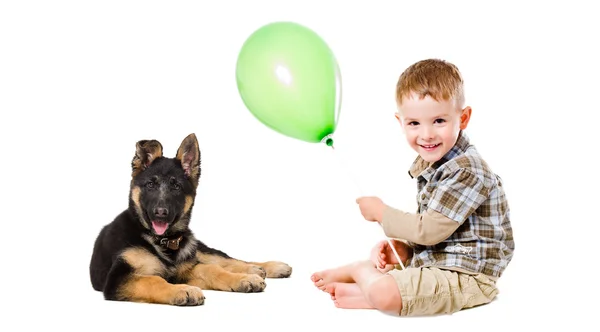 Happy boy and puppy German Shepherd playing with a balloon — Stock Photo, Image