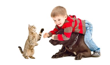 Çocuk, köpek ve kedi birlikte oynama