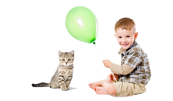 Веселый мальчик и котенок Шотландский натурал — стоковое фото