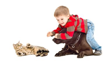 Şirin çocuk kedi köpek--dan korur.