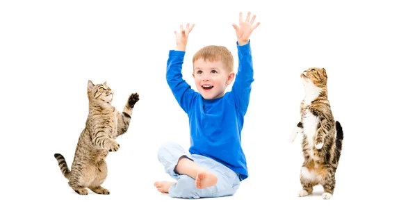 Rapaz alegre e dois gatos — Fotografia de Stock