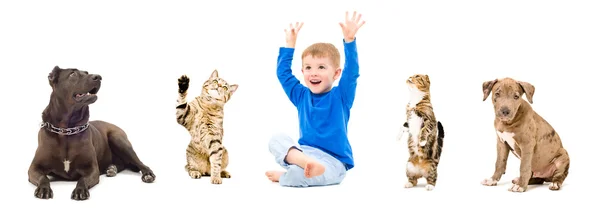 Grupy zwierząt i szczęśliwe dziecko razem — Zdjęcie stockowe