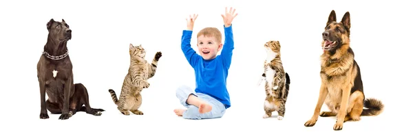 Група грайливих домашніх тварин і щаслива дитина разом — стокове фото