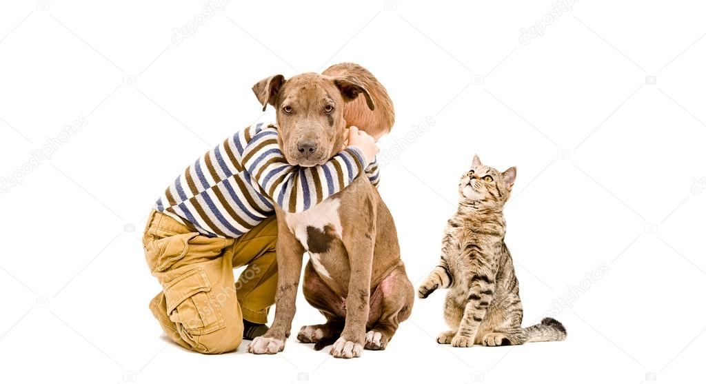 Affectionate boy, pit bull puppy and a cat