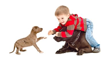 Köpek ve köpek yavrusu ile oynama çocuk