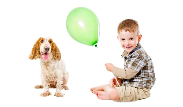 Lycklig pojke och hund rasen ryska Spaniel leker med en ballong — Stockfoto