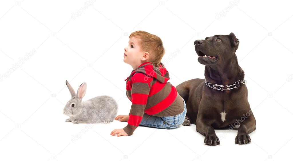 The boy, dog and rabbit sitting together
