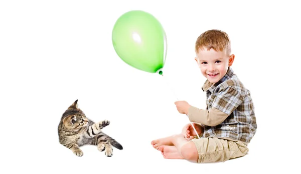 幸せな少年と子猫スコティッシュ ストレート — ストック写真