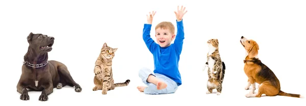 Groep van een huisdieren en gelukkige jongen — Stockfoto