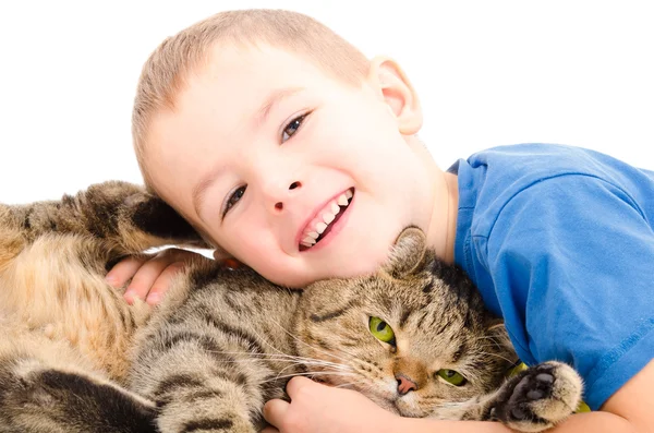 男孩和猫苏格兰直拥抱 — 图库照片