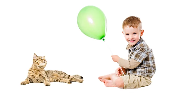 Lycklig pojke och katt Scottish Straight — Stockfoto
