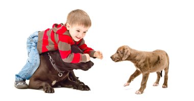 Köpek ve köpek yavrusu ile oynayan çocuk