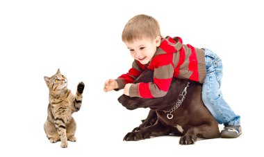 Çocuk, köpek ve kedi oynuyor