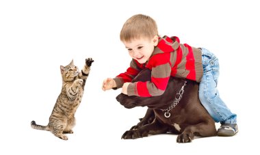 Çocuk, köpek ve kedi neşeyle oynarken