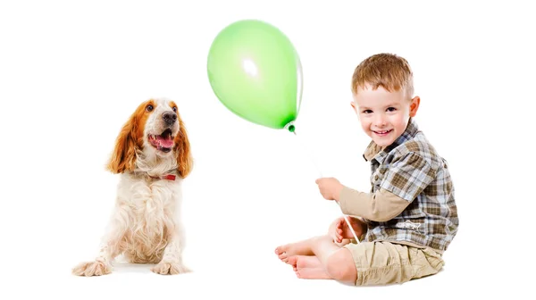 Happy boy and dog breed Russian Spaniel playing together — Stock Photo, Image