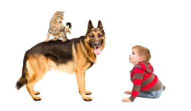 Köpek ve kedi ile oynarken çocuk